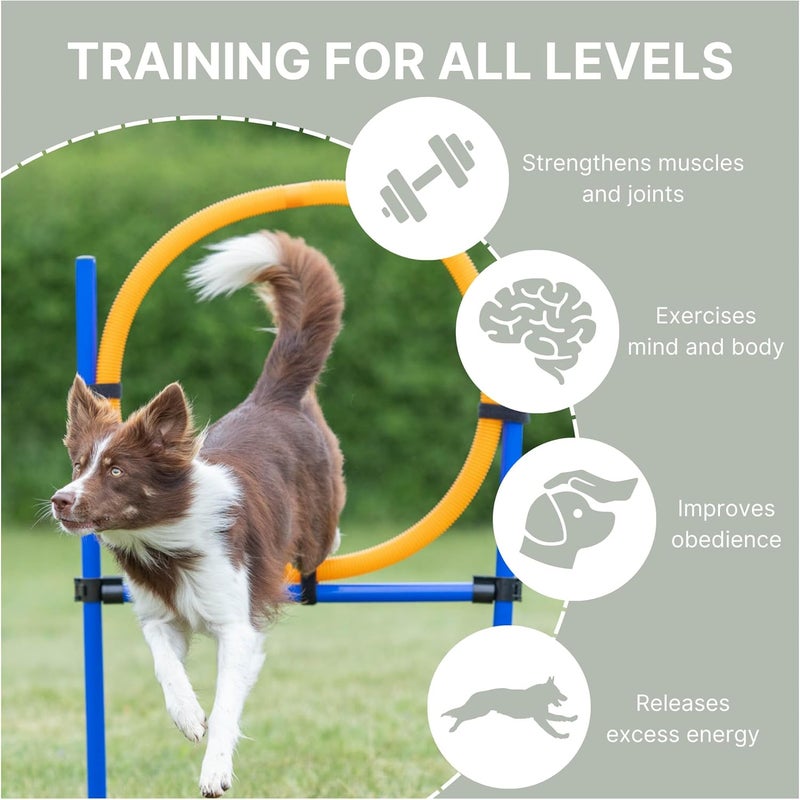 Trixie Dog Activity Agility Ring - Adjustable Jumping Challenge for Dogs, Orange/Blue - Image 3